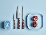 Kuchársky nôž 20 cm Wüsthof Classic Tasty Sumac 1061700520